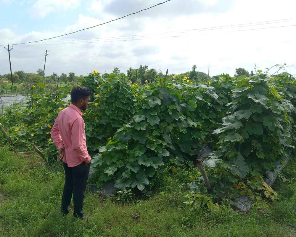 Rite Water Project Amritgram