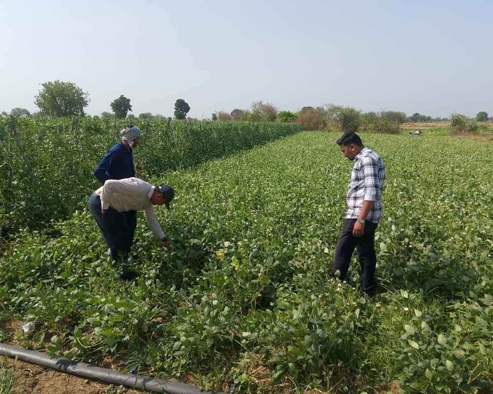 Rite Water Project Amritgram