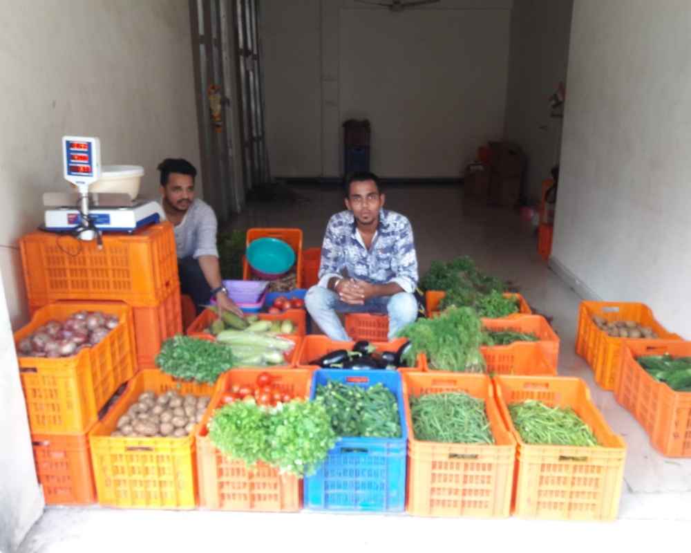 Vegetable Supply Chain 