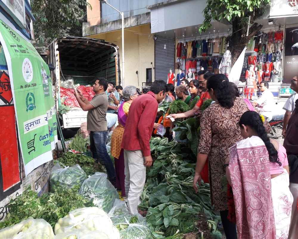 Vegetable Supply Chain 