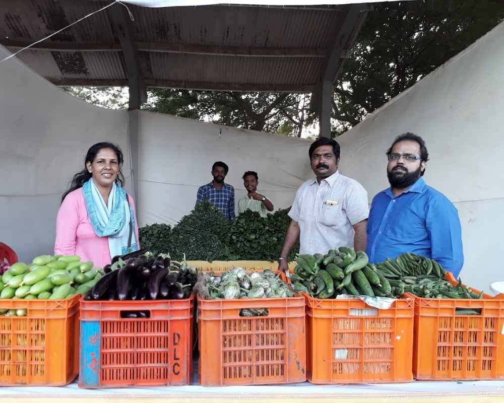 Vegetable Supply Chain 