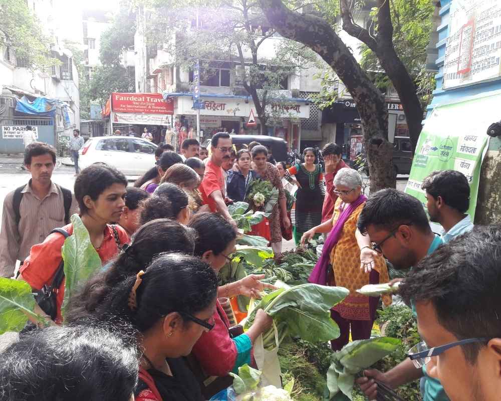 Vegetable Supply Chain 