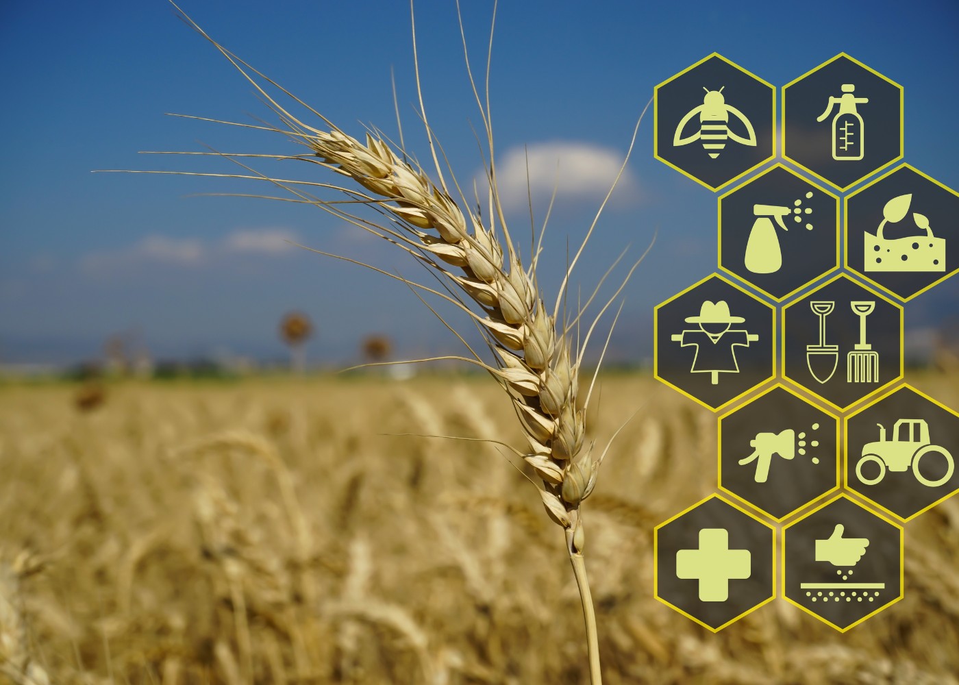 Digital & Climate Smart Agriculture