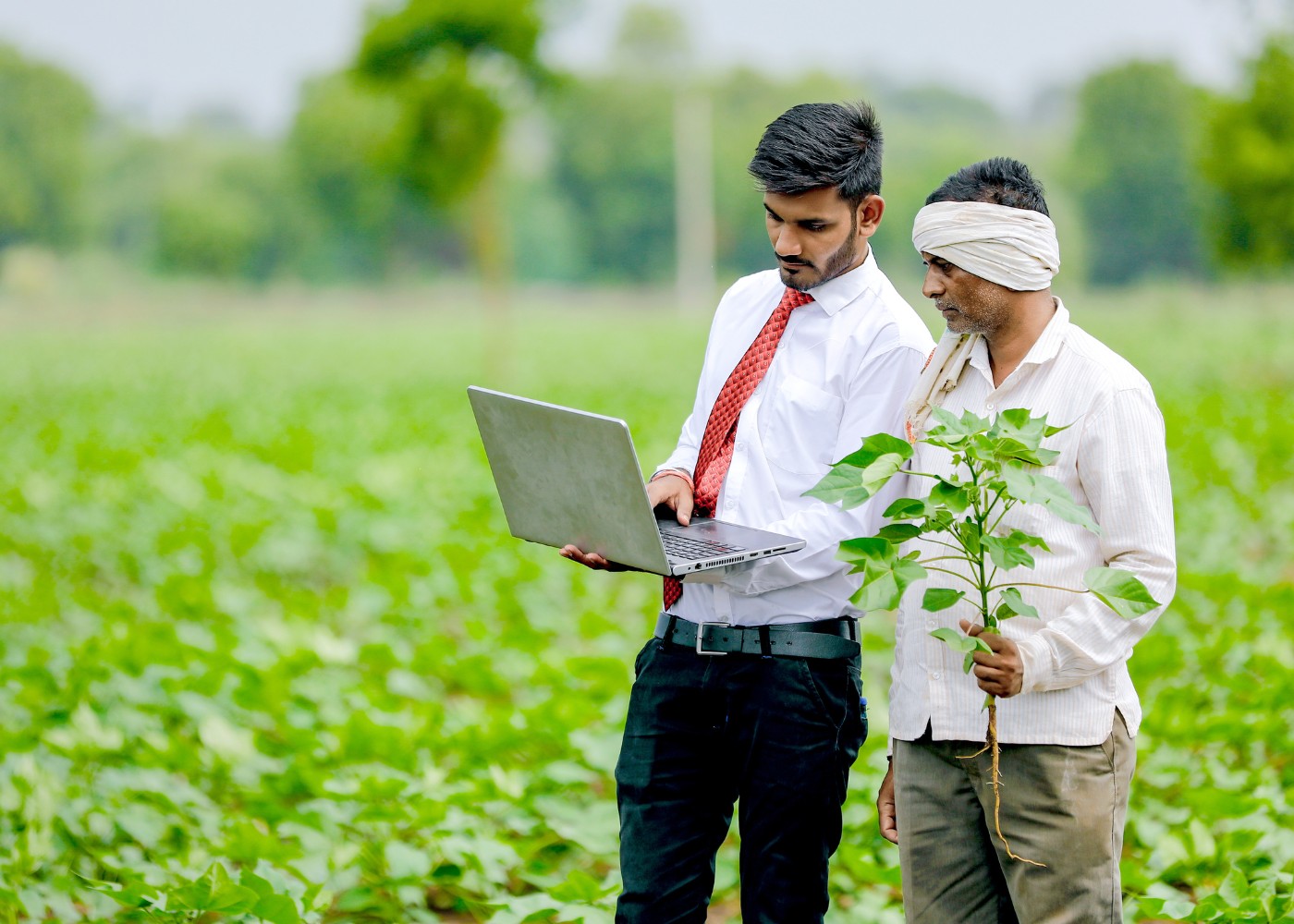 Digital Tools for Livelihoods