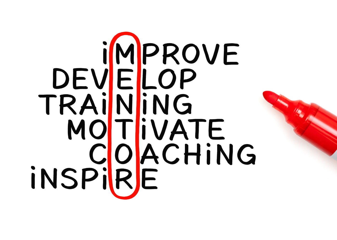 Education & Mentorship