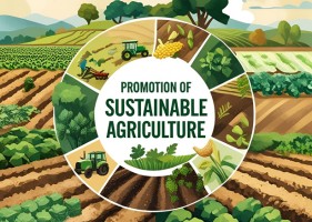 Promotion of Sustainable Agriculture