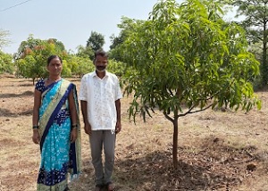 From Seasonal Farming to Sustainable Livelihoods Through Tree Plantation